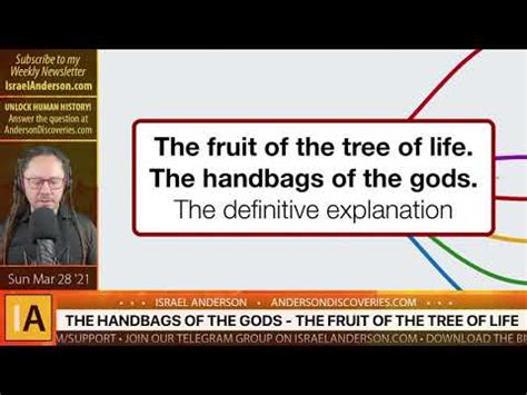 What’s in the Handbags of the Gods? - YouTube