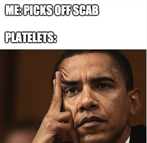 Platelets: Am I some kind of a joke to you? : r/sciencememes