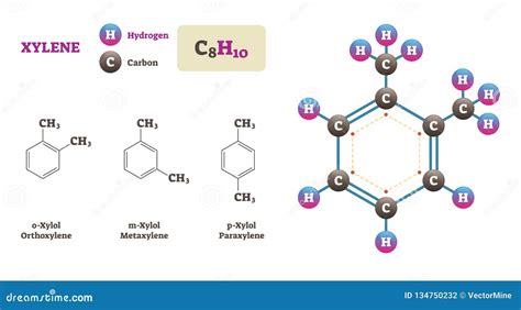 Xylene Molecule Vector Illustration. Hydrogen and Carbon Structure ...