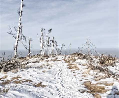 Winter Poland Mountains - Free photo on Pixabay - Pixabay