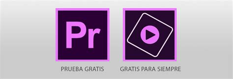 Premiere Pro Premiere Elements Which One Is For You In 2021 ...