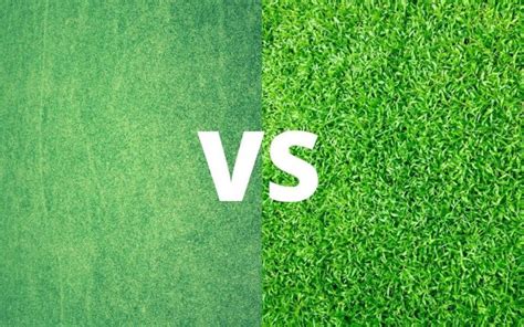 Soccer Field Grass : Artificial Turf Vs Grass - All Your Concerns Answered!