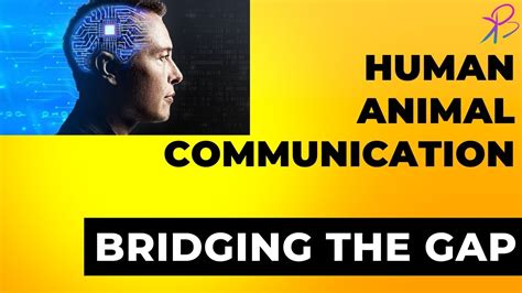 The Future of Human Animal Communication: How Technology is Bridging ...