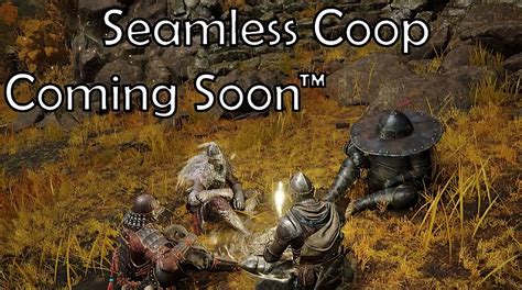 Elden Ring Seamless Coop Mod Is Getting a Public Beta on May 27th