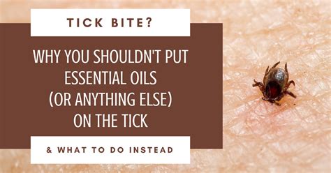 How to Treat a Tick Bite | Life in Doses