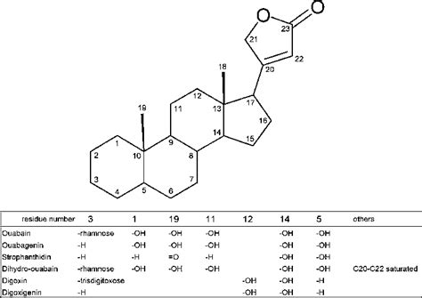 Chemical structure of the ouabain analogues | Download Scientific Diagram