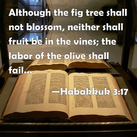 Habakkuk 3:17 Although the fig tree shall not blossom, neither shall fruit be in the vines; the ...