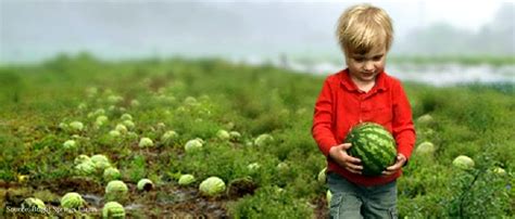 The Wonderful World of Watermelon Farms - Tour De Farm