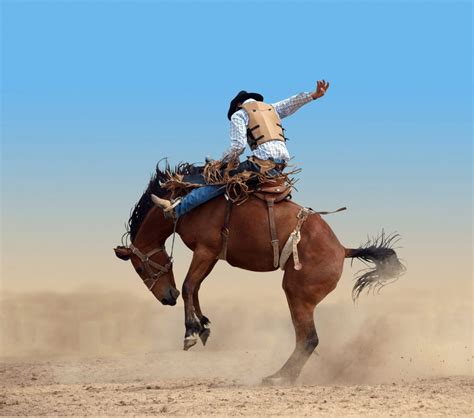 Top Rodeos in the U.S. | Drive The Nation