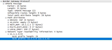 What are the BGP VPNv4 and Labeled BGP routes - Huawei Enterprise ...