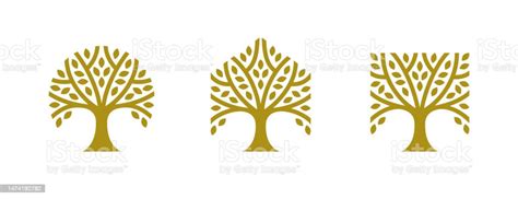 Tree Logo Set In A Circle Square And Hexagon Shape Stock Illustration - Download Image Now - iStock