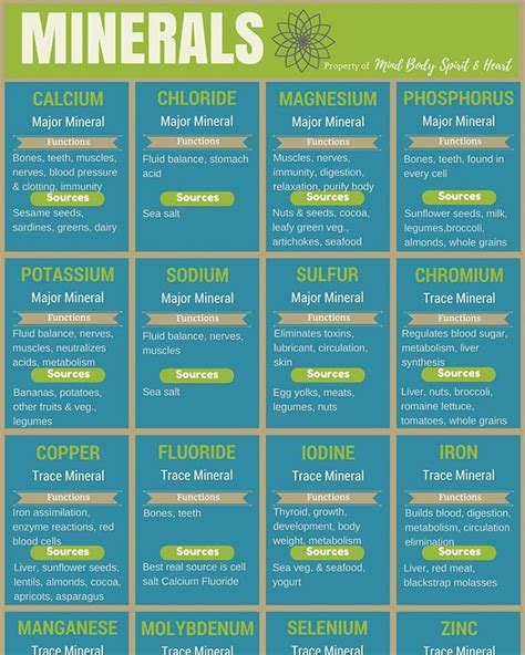 Major Minerals Are Best Described as