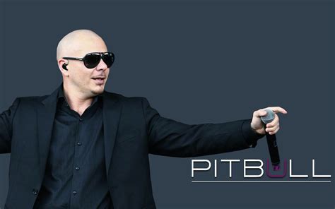 Download Top 10 Best Pitbull Song ~ IMusicG+