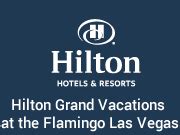 Hilton Grand Vacations at the Flamingo Las Vegas Promo Deals 2024