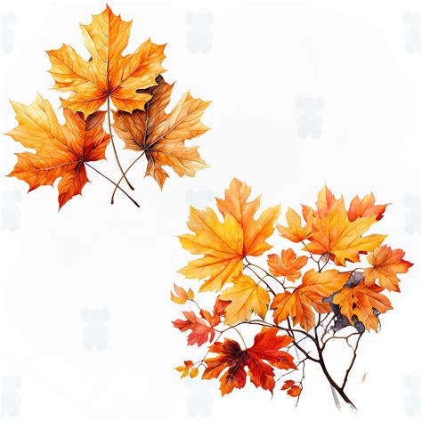 Watercolor Fall Leaves Clipart Instant Download Transparent PNG Format ...