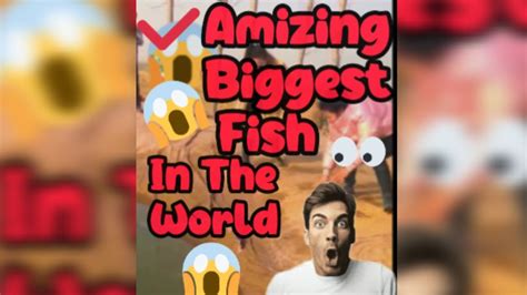 The Biggest and Most Intimidating Fish Species in the World!"#monster #fishing #youtube_trending ...