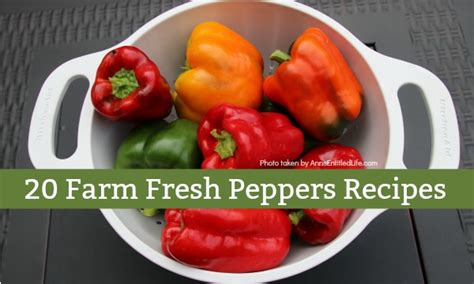 20 Farm Fresh Peppers Recipes