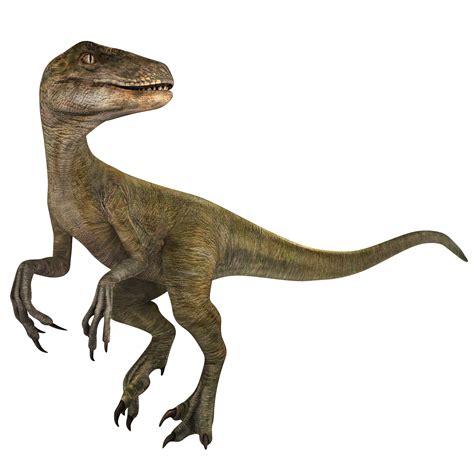 Velociraptor | Jurassic World Alive Wiki | Fandom