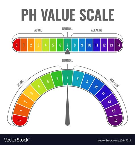 Ph alkaline acidic scale indicator water balance Vector Image , #affiliate, #acidic, #scale, #Ph ...