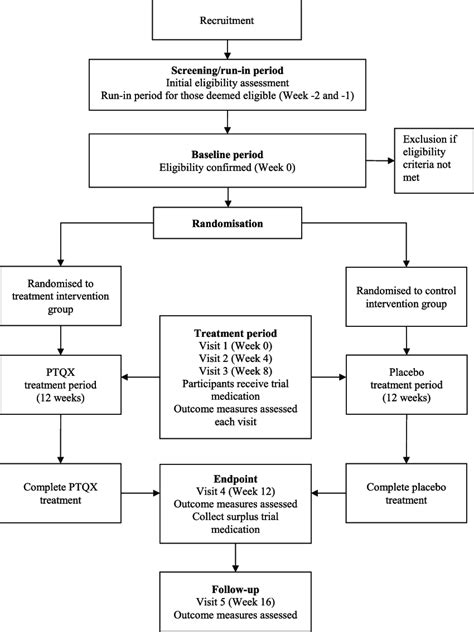 Flowchart of the trial process | Download Scientific Diagram