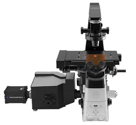 Confocal Microscopes | Products | Nikon Instruments Inc.