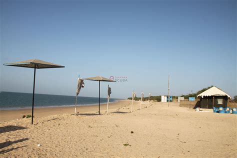 Tent City in Beyt Dwarka | Beach Camping in Beyt Dwarka | Dwarka Scuba