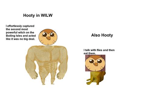 The Owl House Hooty Meme