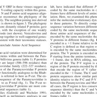 —Phylogeny of the Paramyxoviridae based on amino acid sequences of the... | Download Scientific ...