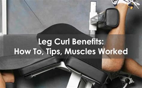 Leg Curl Benefits: How To, Tips, Muscles Worked