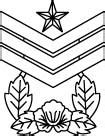 Army Rank Insignia - South Korea