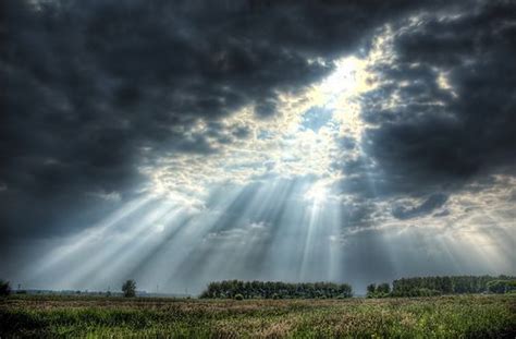 The Clouds Can't Hide The Light - Donation Turns Into Unexpected Discovery - Second Harvest Food ...