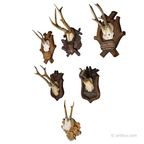 A set of six antique Black Forest hunting trophies from Germany | artfour.com