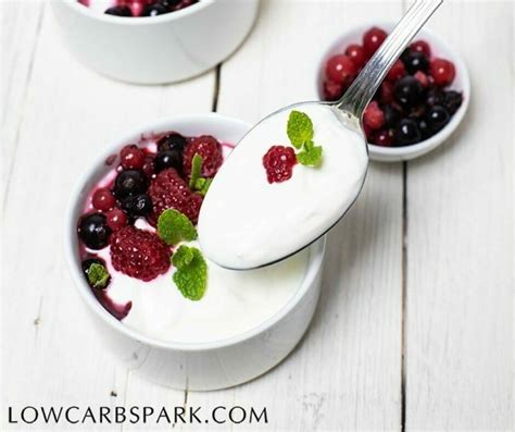 2-Ingredient Low Carb Yogurt - Low Carb Spark