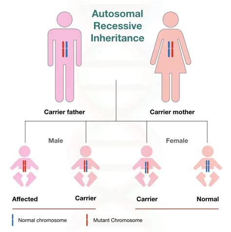 Different types of inheritance pattern