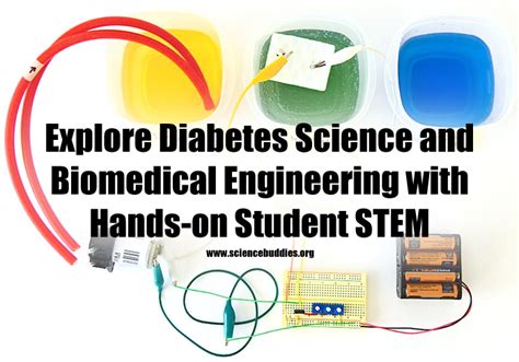 Student Biomedical Engineering Projects with Real-world Connections ...