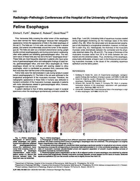 (PDF) Feline esophagus.