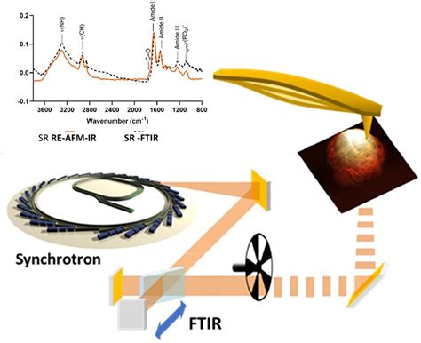 Synchrotron IR photothermal spectroscopy at the nanoscale | Spectroscopy Europe/World