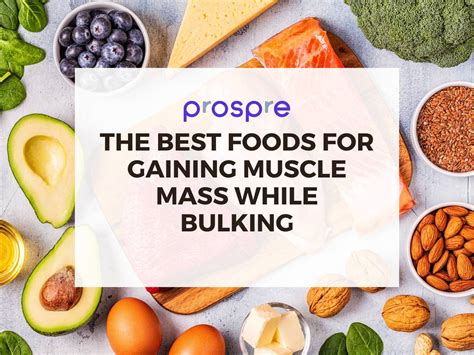 Os Melhores Alimentos para Ganhar Massa Muscular Durante o Bulking