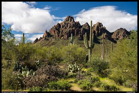 » Ironwood Forest National Monument’s Ragged Top - from QT Luong's Blog