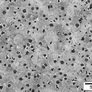 illustrate an example of typical microstructure of as cast ductile iron. a. | Download ...