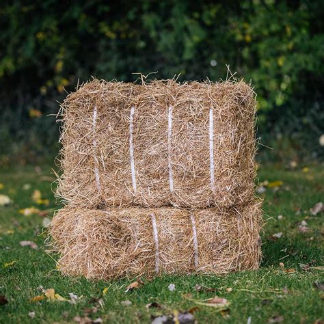 HD Wallpaper: Hay Bale, Forage, Dry, Grass, Dry Grass,, 55% OFF