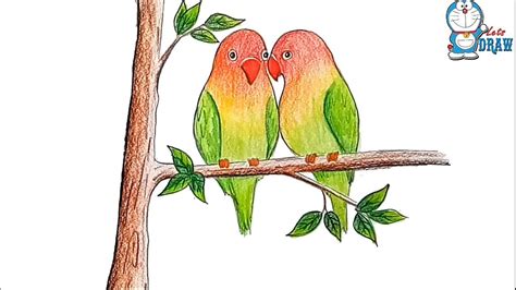 Parrot Drawing Pictures at PaintingValley.com | Explore collection of Parrot Drawing Pictures