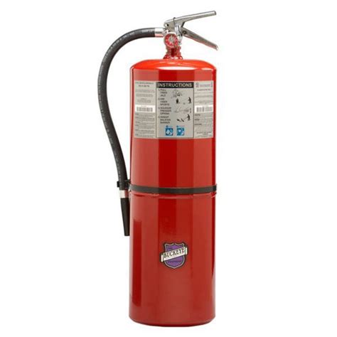 Buckeye 20lb Purple K Fire Extinguisher – Caribbean Safety Products Ltd.