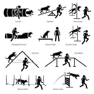 Dog Agility Agile Competition Obstacles Hurdles Course Event Race Tunnel Barrier Poles Handler ...