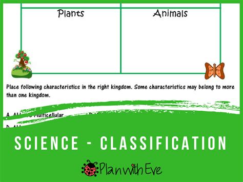 Classification of Living Things - Quiz/Graphic Organizer | Teaching Resources