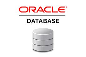 ¿Por qué aprender a trabajar con base de datos Oracle? – Programa en Línea