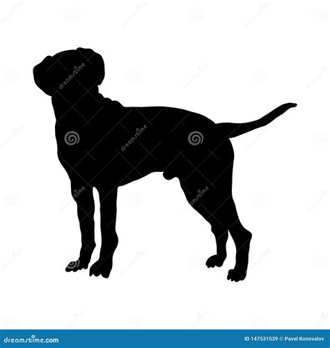 Dalmatian Dog Silhouette stock vector. Illustration of drawing - 147531539