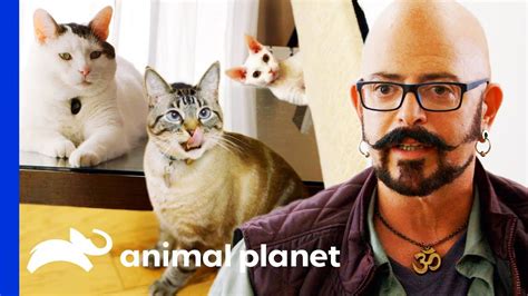 Jackson Galaxy's Top Tips For Cat Owners | My Cat From Hell - YouTube