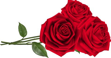 Download Free Valentine Gifs - Roses Png Clipart (#306610) - PinClipart