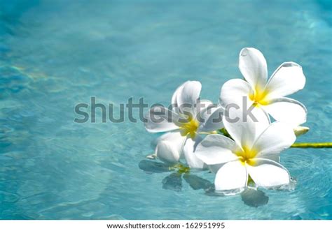 35 Fiji Flower Arrangement Images, Stock Photos & Vectors | Shutterstock